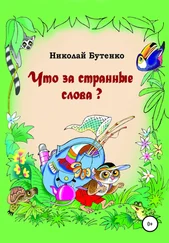 Николай Бутенко - Что за странные слова