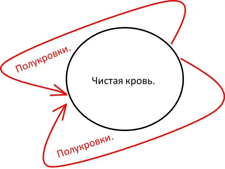 ЯБЛОКО макет магнита для всех одинаково Что бывает когда одна ткань времени - фото 7