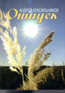 Андрей Красильников Отпуск обложка книги