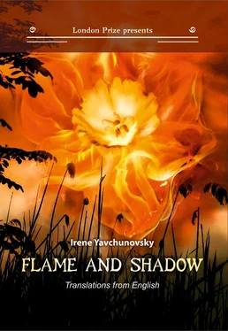 Ирина Явчуновская Пламя и тень / Flame and shadow обложка книги