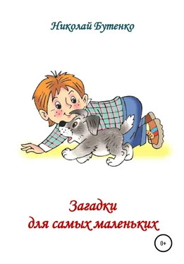 Николай Бутенко Загадки для самых маленьких обложка книги