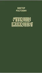 Виктор Ростокин - Откровение Блаженного