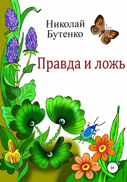 Николай Бутенко Правда и ложь обложка книги