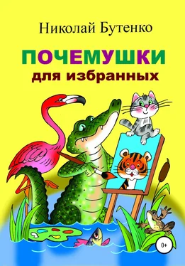 Николай Бутенко Почемушки для избранных обложка книги
