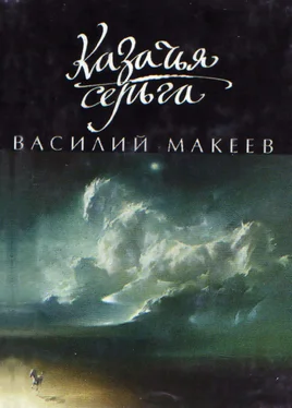 Василий Макеев Казачья серьга обложка книги