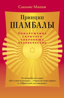 Сакьонг Мипам Принцип Шамбалы. Обнаружение скрытого сокровища человечества обложка книги