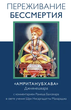 Рамеш Балсекар Переживание бессмертия. «Амританубхава» Джнянешвара с комментарием Р. Балсекара обложка книги