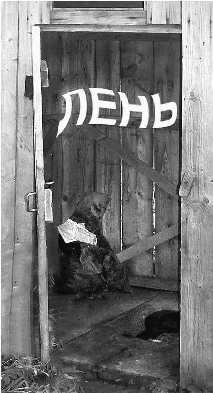 Деревенский туалет Да и выражение брюзжащее телевидение очень хорошо подходит - фото 50
