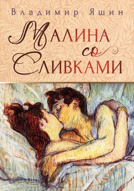 Владимир Яшин Малина со сливками обложка книги