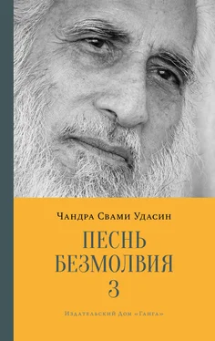 Шри Чандра Свами Удасин Песнь безмолвия. Книга 3 обложка книги