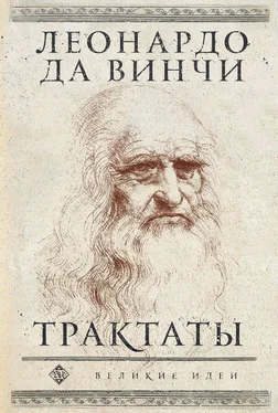 Леонардо да Винчи Трактаты обложка книги