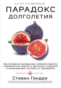 Стивен Гандри Парадокс долголетия. Как оставаться молодым до глубокой старости обложка книги