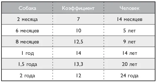 Бытует мнение что год жизни собаки равен 7 годам прожитым человеком Это не - фото 2