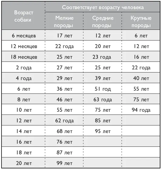 Ветеринар советует Продлите жизнь своей собаке - фото 4