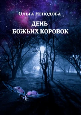 Ольга Неподоба День божьих коровок обложка книги