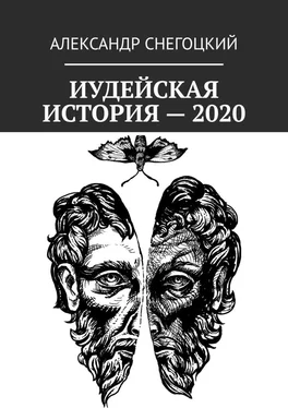 Александр Снегоцкий Иудейская история – 2020 обложка книги