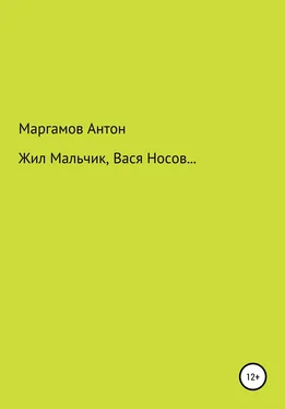 Антон Маргамов Жил мальчик, Вася Носов… обложка книги