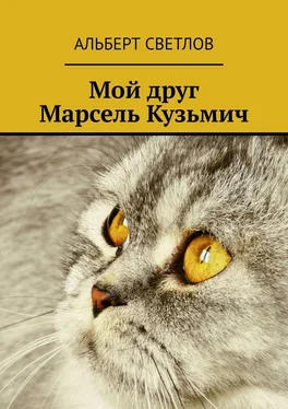 Альберт Светлов Мой друг Марсель Кузьмич обложка книги