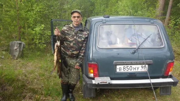 На реке и берегу озера встречаются старые погрызы бобра свежих нет плотин и - фото 28