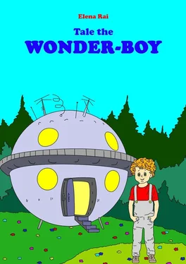 Elena Rai Tale the Wonder-Boy обложка книги