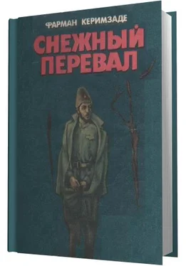 Фарман Керимзаде Снежный перевал обложка книги