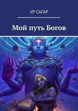 УР САГАР Мой путь Богов обложка книги