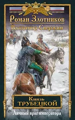 Владимир Свержин - Личный враг императора