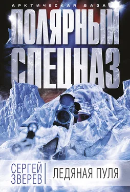 Сергей Зверев Ледяная пуля обложка книги