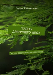 Лидия Румянцева - Тайны дремучего леса. Сказки-рассказки для мальчиков