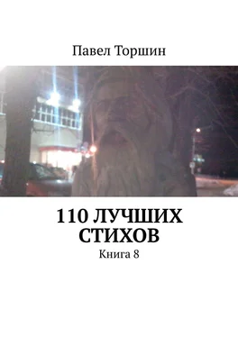 Павел Торшин 110 лучших стихов. Книга 8 обложка книги