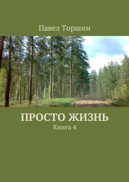 Павел Торшин Просто жизнь. Книга 4 обложка книги