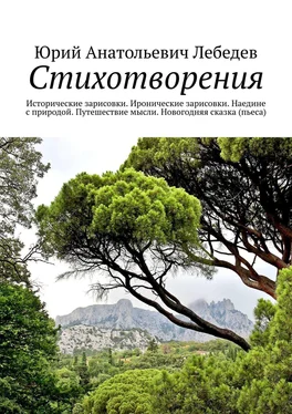 Юрий Лебедев Стихотворения. Исторические зарисовки. Иронические зарисовки. Наедине с природой. Путешествие мысли. Новогодняя сказка (пьеса) обложка книги