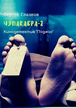 Сергей Глазков Чупакабра-2. Кинодетектив «Поджог» обложка книги