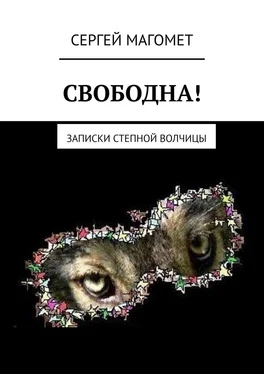 Сергей Магомет СВОБОДНА! Записки Степной Волчицы обложка книги