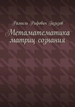 Рамиль Газизов Метаматематика матриц сознания обложка книги