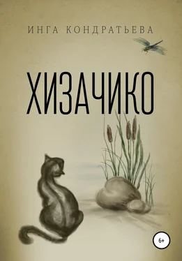 Инга Кондратьева Хизачико обложка книги