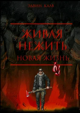 Эдвин Калв Живая нежить. Новая жизнь обложка книги