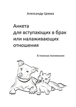 Александр Цовма Анкета для вступающих в брак или налаживающих отношения. В поисках понимания обложка книги