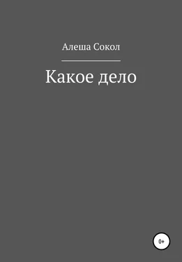 Алеша Сокол Какое дело обложка книги