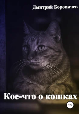 Дмитрий Боровичев Кое-что о кошках