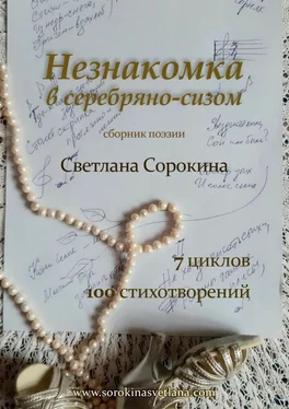 Светлана Сорокина Незнакомка в серебряно-сизом обложка книги