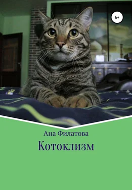 Ана Филатова Котоклизм обложка книги