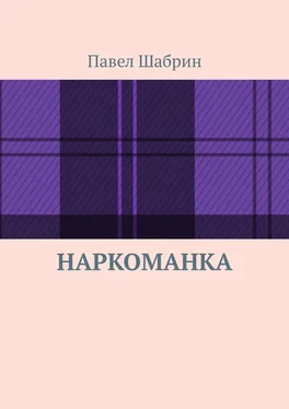 Павел Шабрин Наркоманка обложка книги