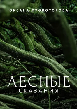 Оксана Провоторова Лесные сказания обложка книги