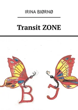 Irina Bjørnø Transit ZONE обложка книги