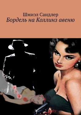 Шмиэл Сандлер Бордель на Коллинз авеню обложка книги