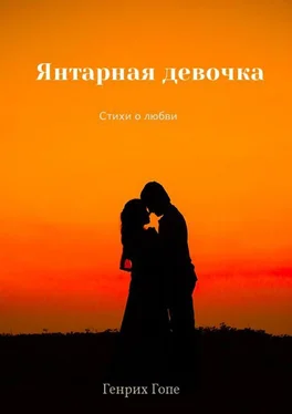 Генрих Гопе Янтарная девочка обложка книги