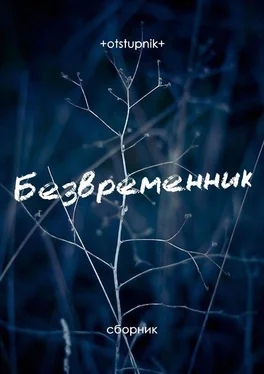+otstupnik+ Безвременник обложка книги