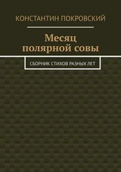 Константин Покровский - Месяц полярной совы. Сборник стихов разных лет