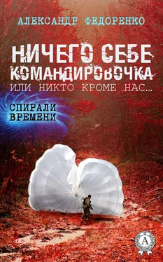 Александр Федоренко Ничего себе командировочка, или Никто кроме нас обложка книги